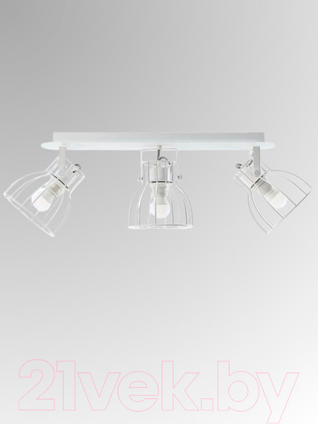 Изображение товара Спот Aitin-Pro НПБ 02-3x60-102 / P8544/3 (белый)