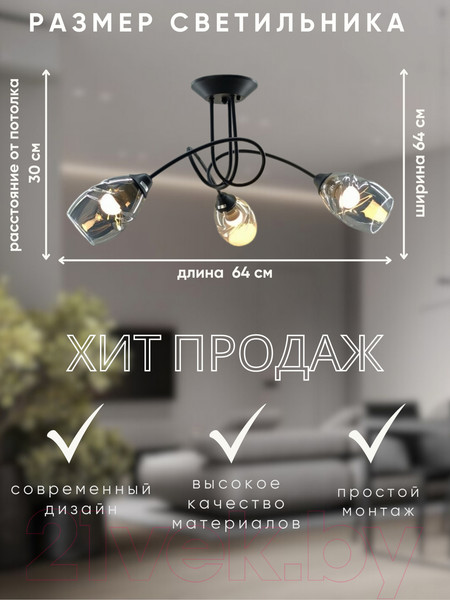 Изображение товара Люстра Aitin-Pro НПБ 02-3x60-102 / S5126/3 (черный)
