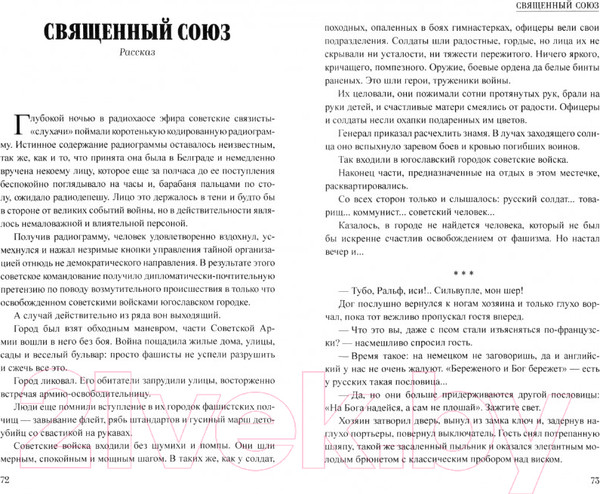 Изображение товара Книга Вече Сейф командира Флинка / 9785448445972 (Черносвитов В.)