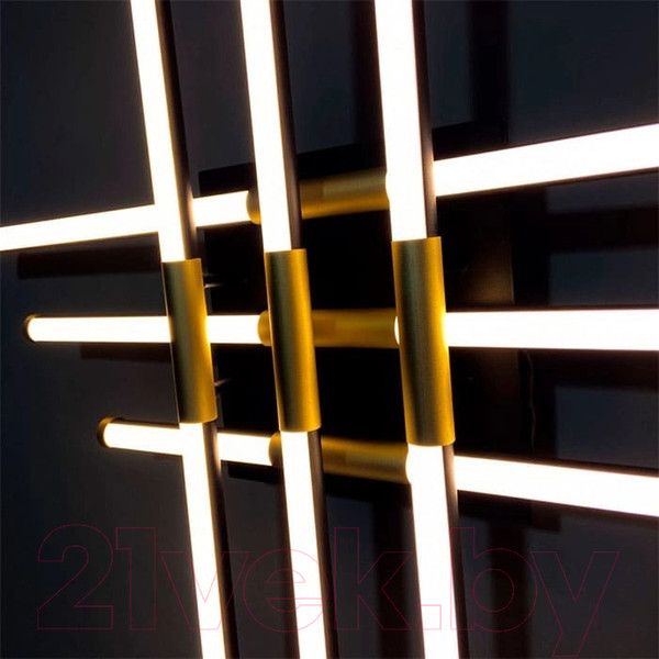 Изображение товара Потолочный светильник Aitin-Pro LD4330B/6 130Вт