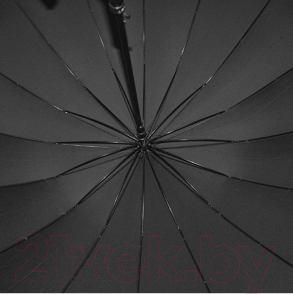 Изображение товара Зонт-трость Ame Yoke RS716 (черный)