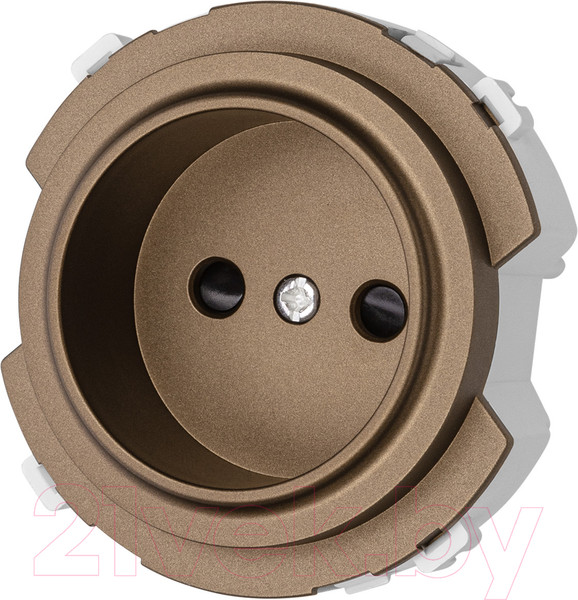 Изображение товара Розетка TDM Байкал / SQ1819-0408 (бронза)