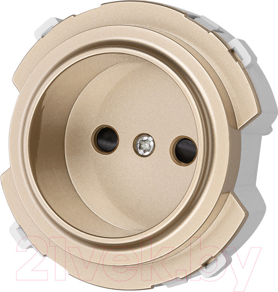 Изображение товара Розетка TDM Байкал / SQ1819-0508 (шампань)