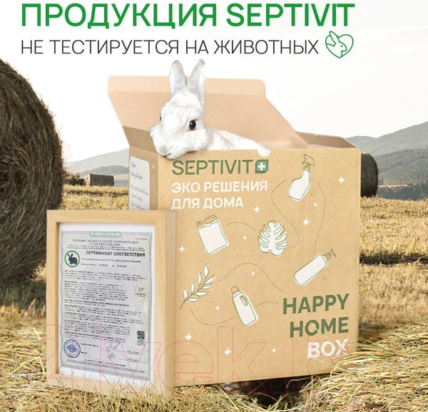 Изображение товара Чистящее средство для пола Septivit Малина мята (5л)