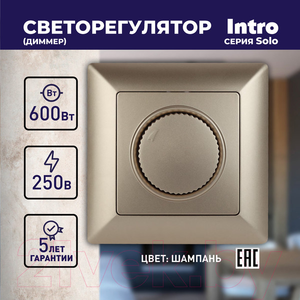 Изображение товара Диммер INTRO Solo 4-401-04 / Б0053708 (шампань)