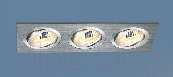 Изображение товара Точечный светильник Elektrostandard 1011/3 MR16 CH