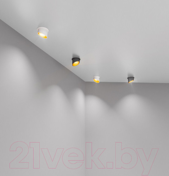 Изображение товара Точечный светильник Elektrostandard 7005 MR16 BK/GD