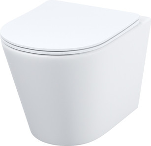 Изображение товара Унитаз подвесной IDDIS Calipso CALRDSEi25