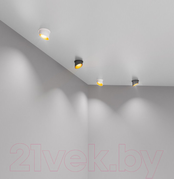 Изображение товара Точечный светильник Elektrostandard 7005 MR16 WH/GD