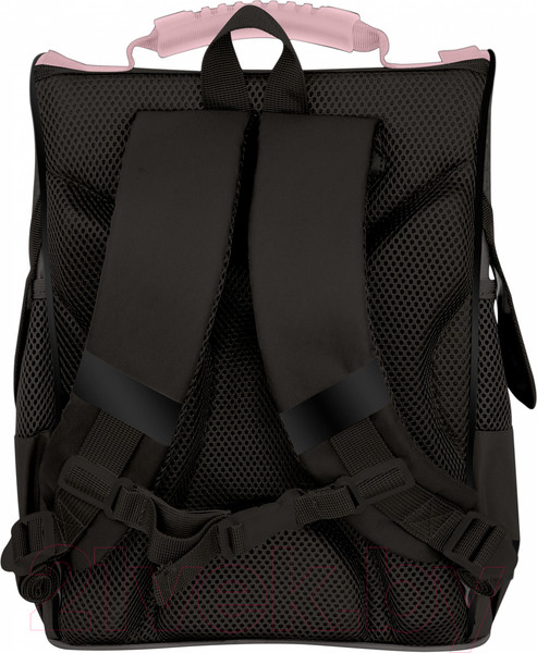 Изображение товара Школьный рюкзак Schoolformat Basic Привет, ромашки / РЮКЖК-ПР (черный)