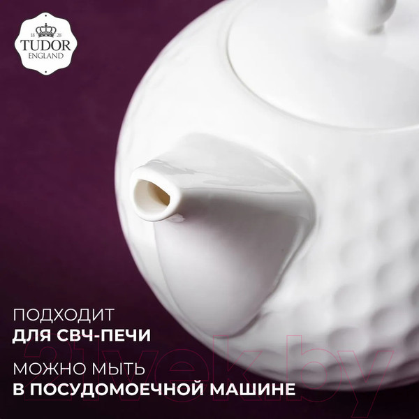 Изображение товара Заварочный чайник Tudor England TU3567