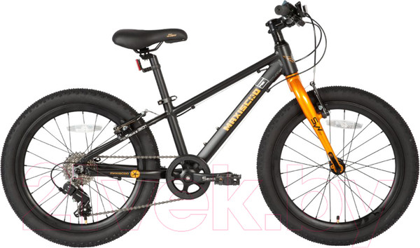 Изображение товара Детский велосипед Maxiscoo 5Bike 20 M 2024 / MSC-M5-2002 (черный матовый)
