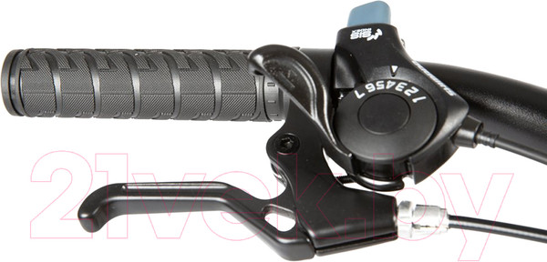 Изображение товара Детский велосипед Maxiscoo 5Bike 20 M 2024 / MSC-M5-2002 (черный матовый)
