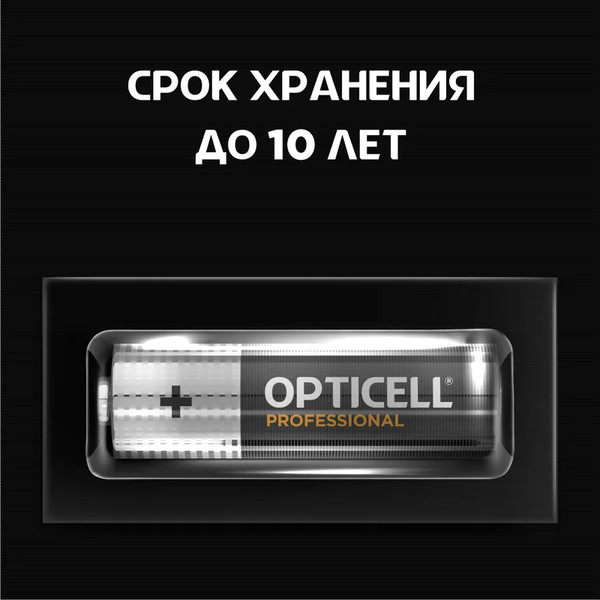 Изображение товара Комплект батареек Opticell Professional AA 5052003 (6шт)