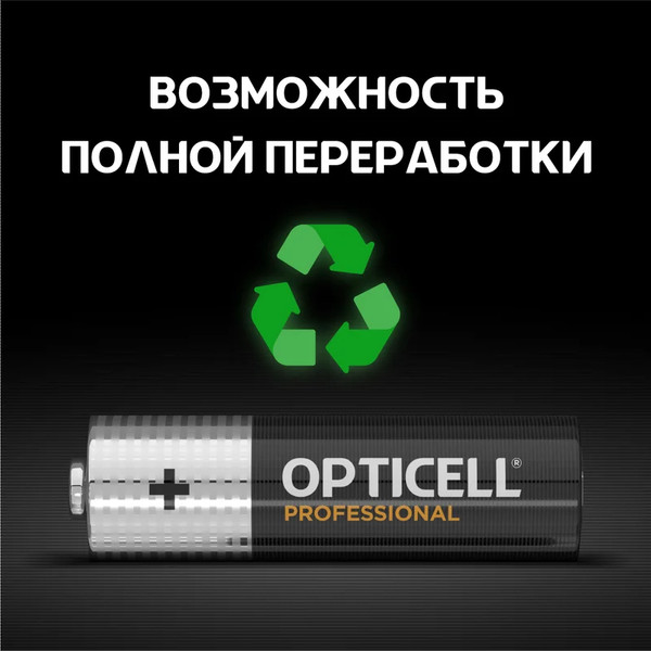Изображение товара Комплект батареек Opticell Professional AA 5052003 (6шт)