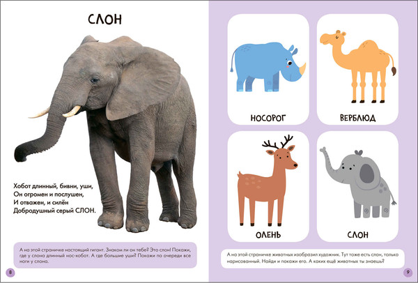 Изображение товара Набор развивающих книг Мозаика-Синтез Школа Семи Гномов. Окружающий мир 1+ / МС13923