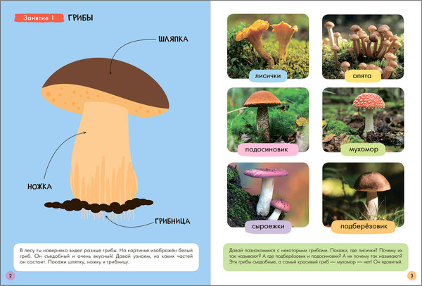 Изображение товара Набор развивающих книг Мозаика-Синтез Школа Семи Гномов. Окружающий мир 3+ / МС13925