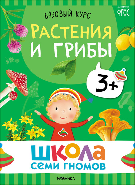 Изображение товара Набор развивающих книг Мозаика-Синтез Школа Семи Гномов. Окружающий мир 3+ / МС13925