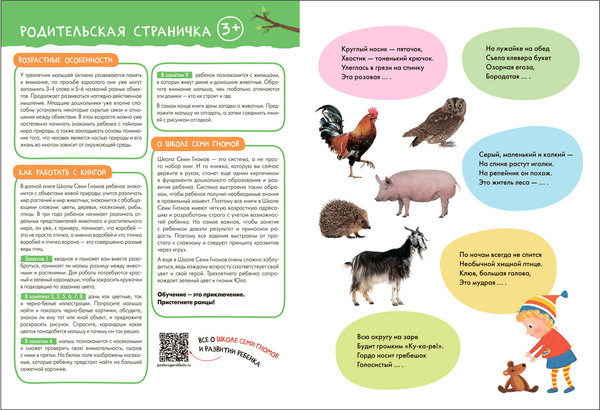 Изображение товара Набор развивающих книг Мозаика-Синтез Школа Семи Гномов. Окружающий мир 3+ / МС13925