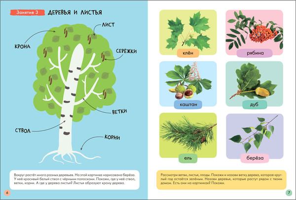 Изображение товара Набор развивающих книг Мозаика-Синтез Школа Семи Гномов. Окружающий мир 3+ / МС13925