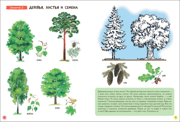 Изображение товара Набор развивающих книг Мозаика-Синтез Школа Семи Гномов. Окружающий мир 3+ / МС13925