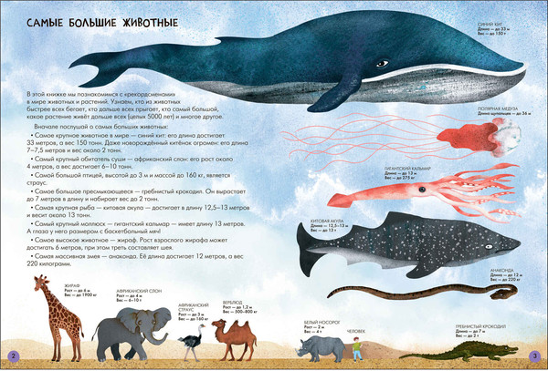 Изображение товара Набор развивающих книг Мозаика-Синтез Школа Семи Гномов. Окружающий мир 4+ / МС13926