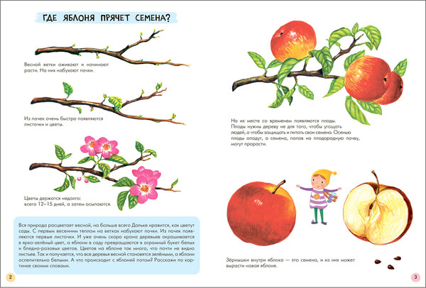 Изображение товара Набор развивающих книг Мозаика-Синтез Школа Семи Гномов. Окружающий мир 5+ / МС13927