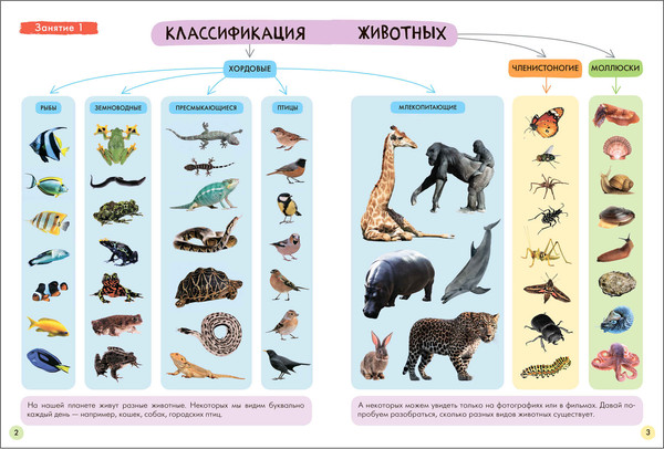 Изображение товара Набор развивающих книг Мозаика-Синтез Школа Семи Гномов. Окружающий мир 5+ / МС13927