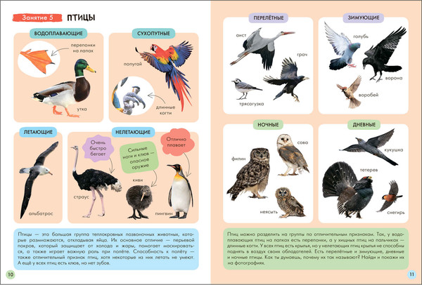 Изображение товара Набор развивающих книг Мозаика-Синтез Школа Семи Гномов. Окружающий мир 5+ / МС13927