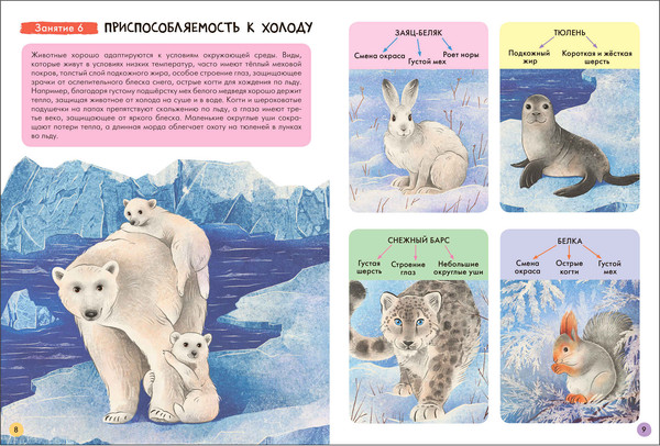 Изображение товара Набор развивающих книг Мозаика-Синтез Школа Семи Гномов. Окружающий мир 6+ / МС13928