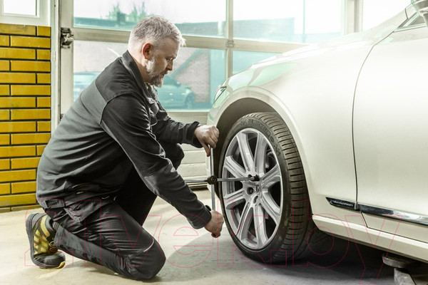 Изображение товара Полукомбинезон рабочий Hoegert Edgar HT5K278-2-M (серый)