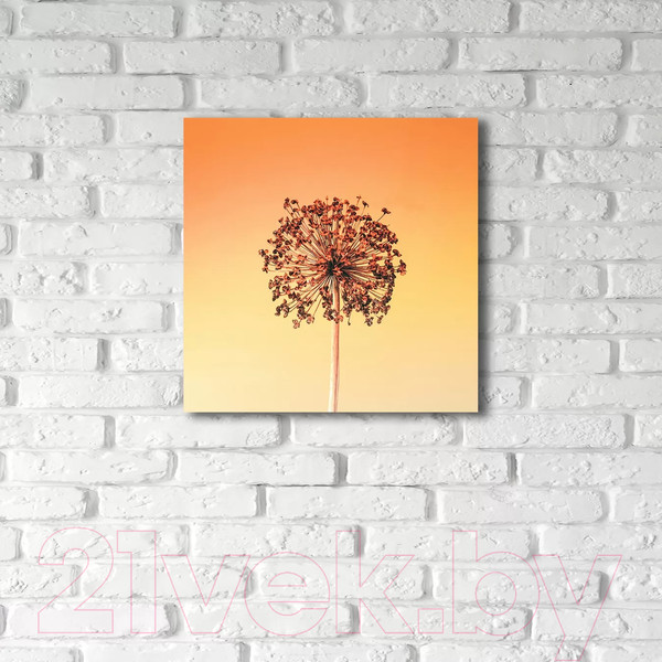 Изображение товара Картина на стекле Stamprint Солнце SP016 (50x50)