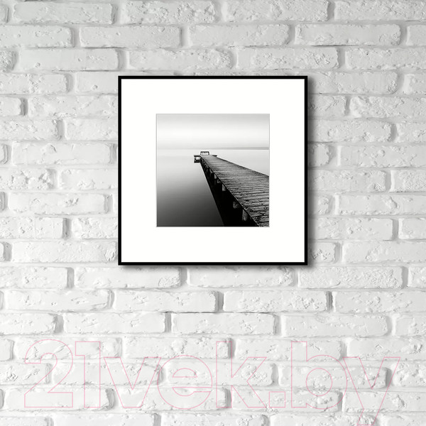 Изображение товара Картина на стекле Stamprint Природа 1 BW001 (50x50)