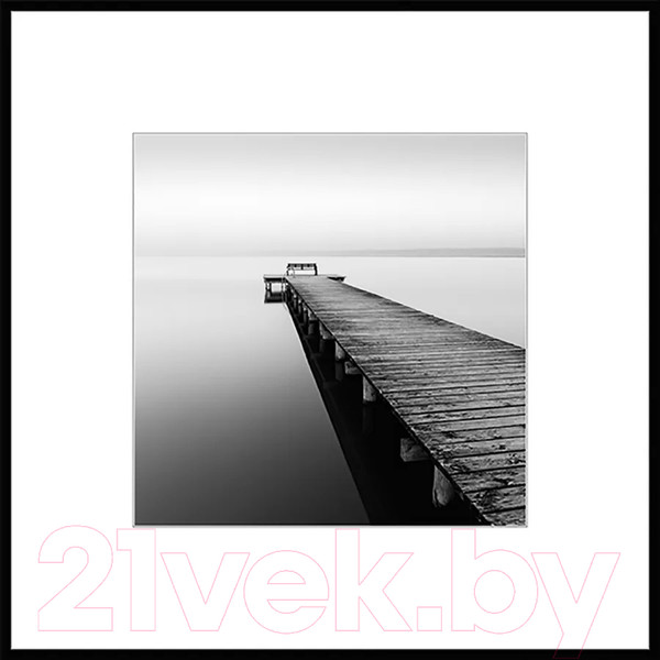 Изображение товара Картина на стекле Stamprint Природа 1 BW001 (50x50)