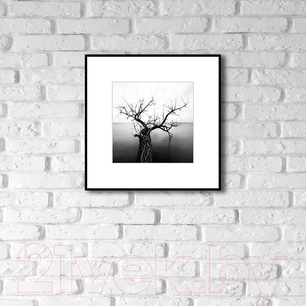 Изображение товара Картина на стекле Stamprint Природа 2 BW002 (50x50)