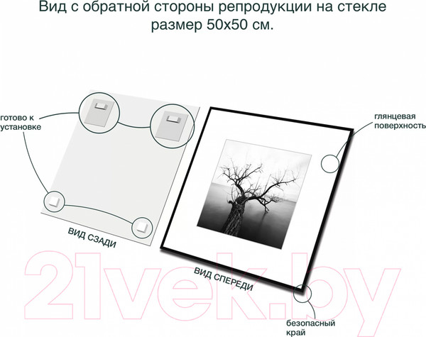 Изображение товара Картина на стекле Stamprint Природа 2 BW002 (50x50)