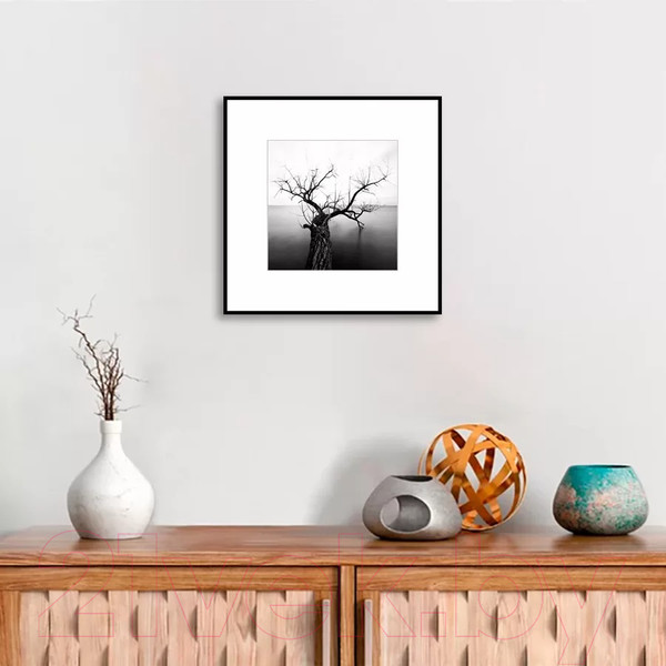 Изображение товара Картина на стекле Stamprint Природа 2 BW002 (50x50)