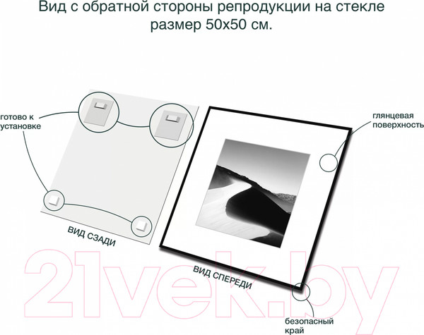 Изображение товара Картина на стекле Stamprint Природа 3 BW003 (50x50)