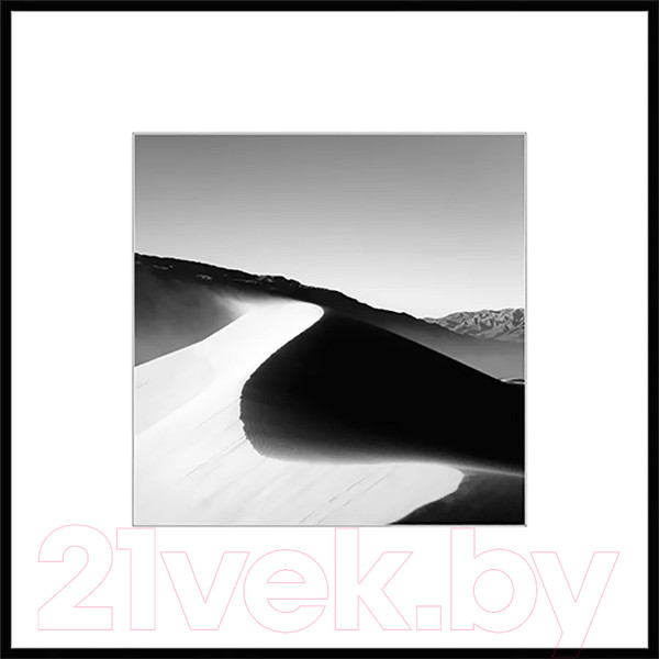 Изображение товара Картина на стекле Stamprint Природа 3 BW003 (50x50)