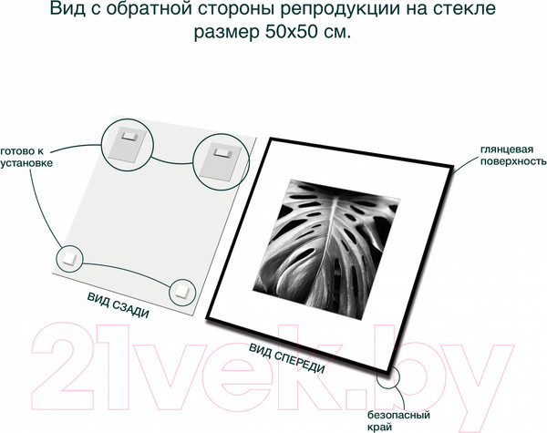 Изображение товара Картина на стекле Stamprint Листья 2 BW008 (50x50)