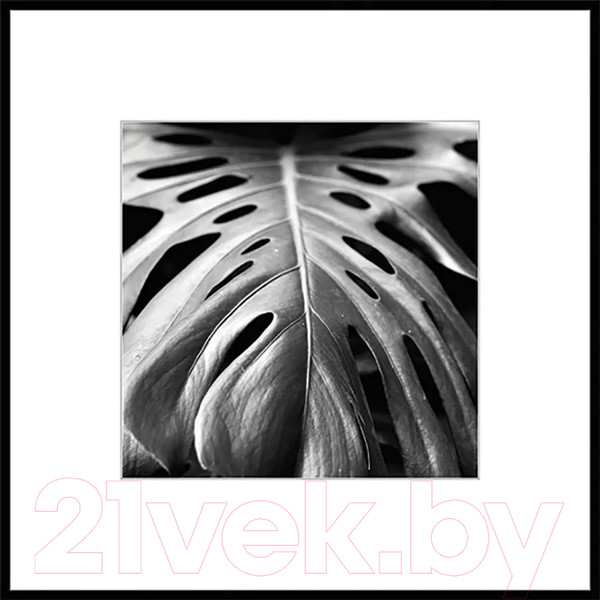 Изображение товара Картина на стекле Stamprint Листья 2 BW008 (50x50)