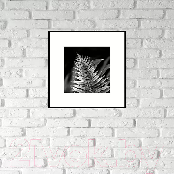 Изображение товара Картина на стекле Stamprint Листья 3 BW009 (50x50)