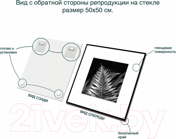 Изображение товара Картина на стекле Stamprint Листья 3 BW009 (50x50)