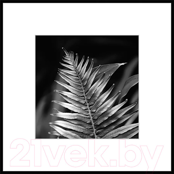 Изображение товара Картина на стекле Stamprint Листья 3 BW009 (50x50)