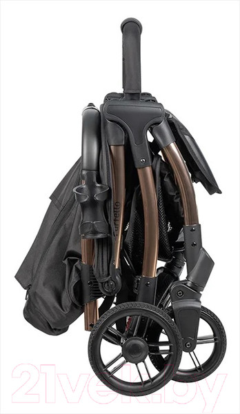 Изображение товара Детская прогулочная коляска Farfello Sunrise / FS-002 (черный/золото)