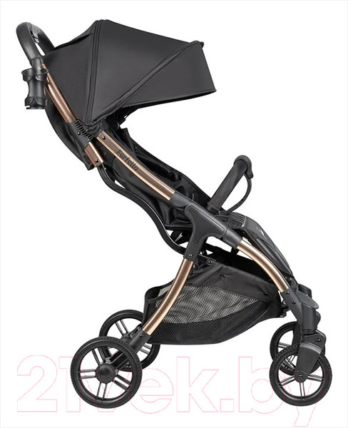 Изображение товара Детская прогулочная коляска Farfello Sunrise / FS-002 (черный/золото)