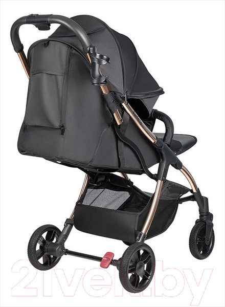 Изображение товара Детская прогулочная коляска Farfello Sunrise / FS-002 (черный/золото)