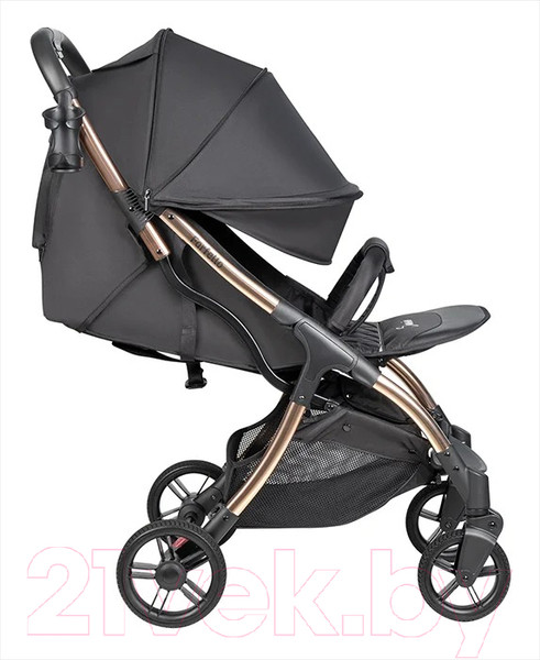 Изображение товара Детская прогулочная коляска Farfello Sunrise / FS-002 (черный/золото)