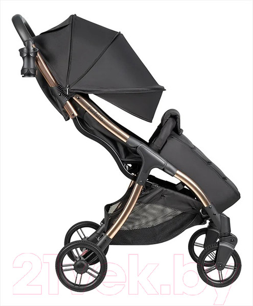 Изображение товара Детская прогулочная коляска Farfello Sunrise / FS-002 (черный/золото)