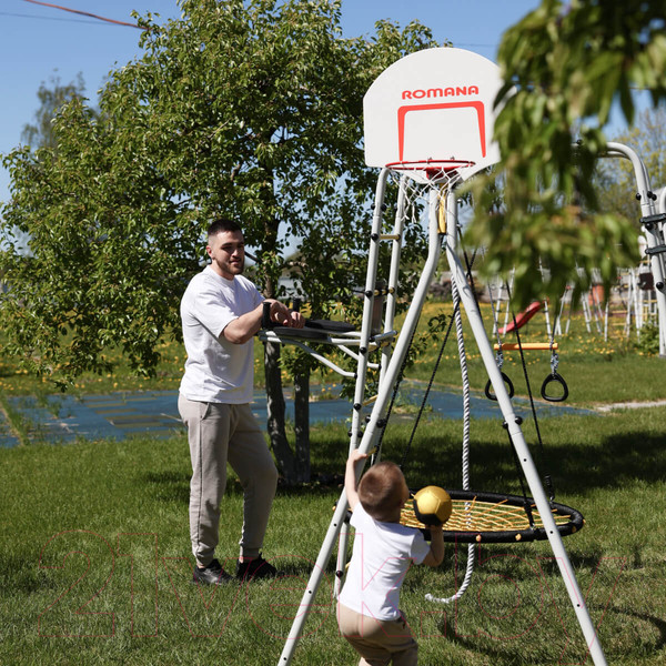 Изображение товара Баскетбольный щит Romana 1.Д-04.03